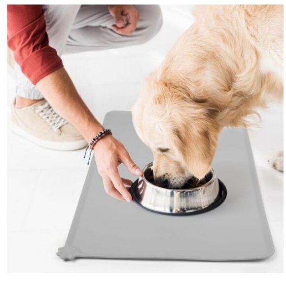 New 2 Collapsible Dog Bowls and 2 Silicone Non Slip Pet Dog Bowl Mats Grey - Picture 4 of 10